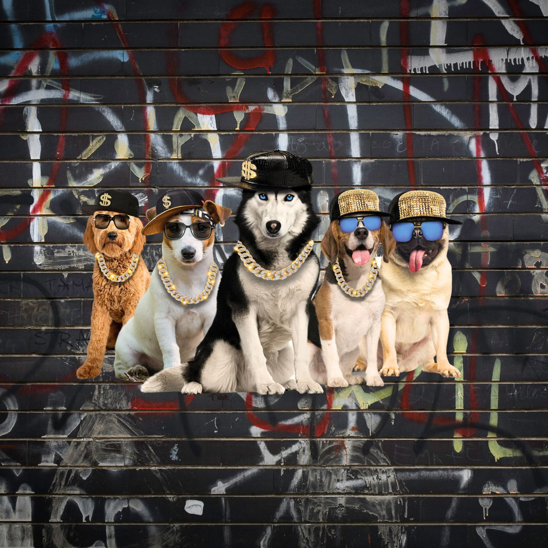 Dog Rapper Costues The Spoiled Dog Shop | Dog Mom Apparel | Clothing For Dog Lovers