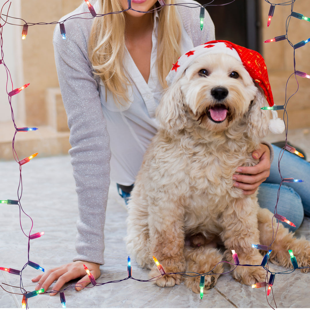 Paw-fect Dog Mom Holiday Collection