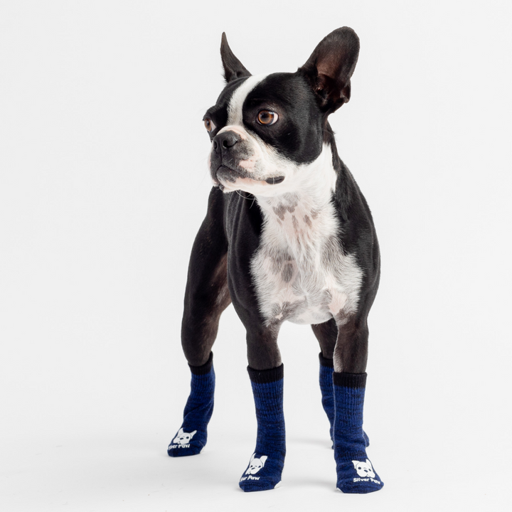 Compression Dog Socks - Blue