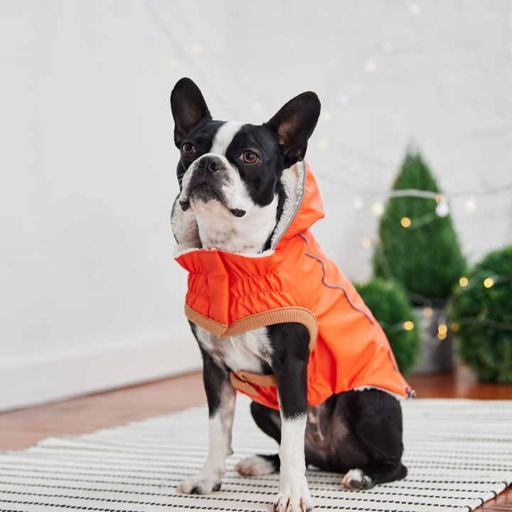 Insulated Raincoat - Orange