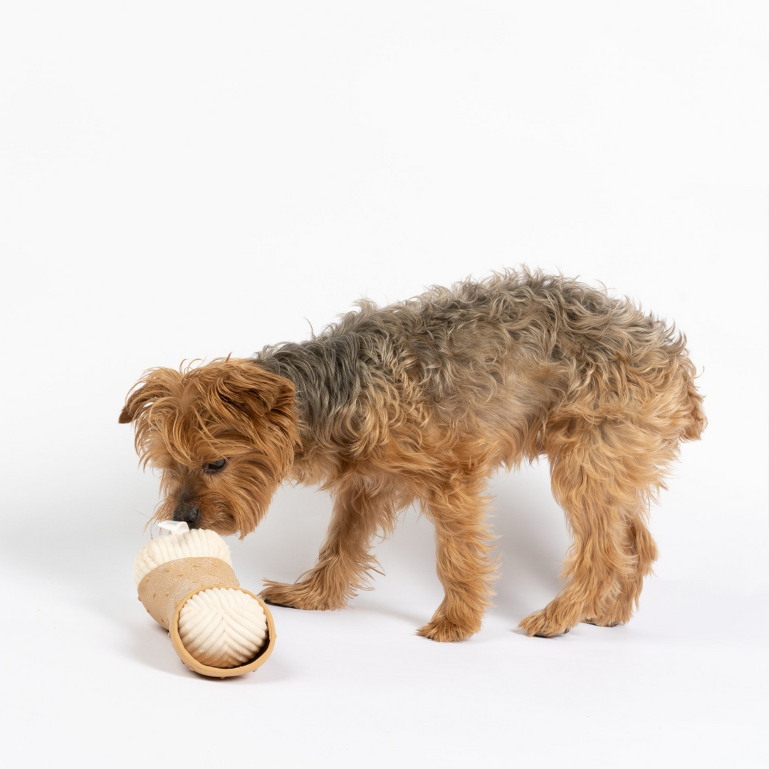 Cannoli Dog Toy
