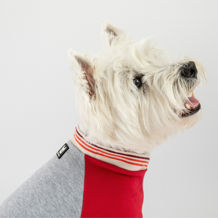 Chase Dog Sweatshirt - Red