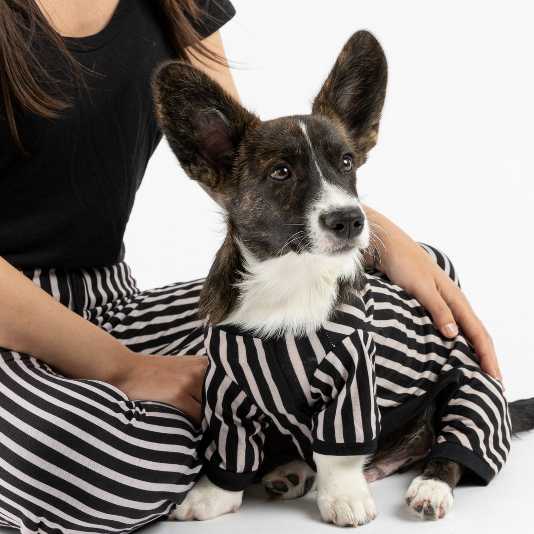Dog Pajama - Stripe