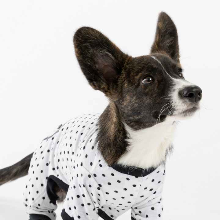 Dog Pajama - Polka Dot