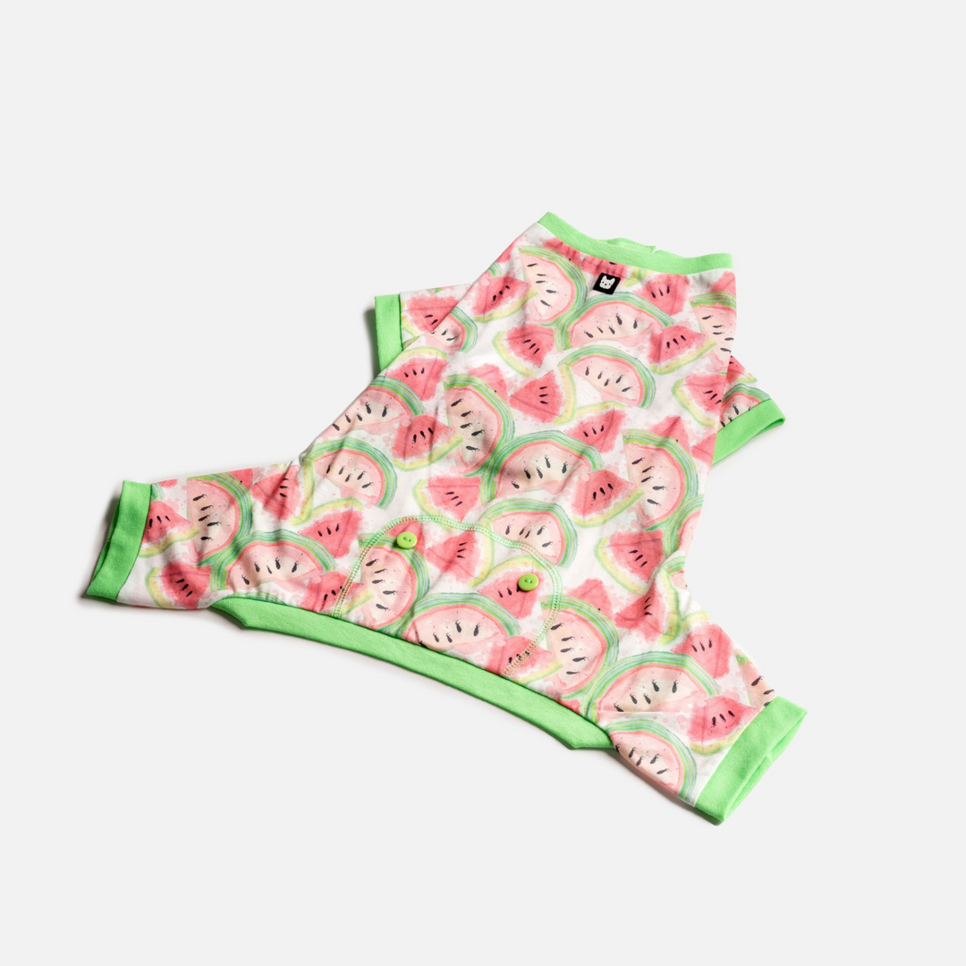 Fruit Dog Pajama - Watermelon