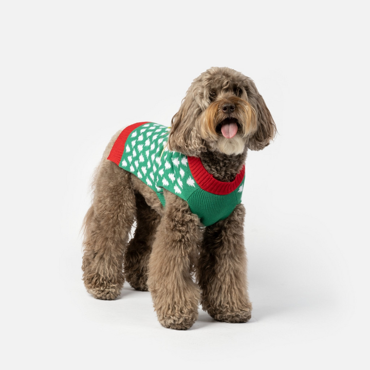 Gift Dog Sweater