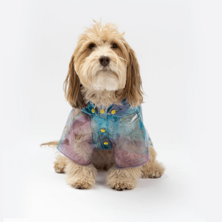 Kinney Dog Translucent Raincoat