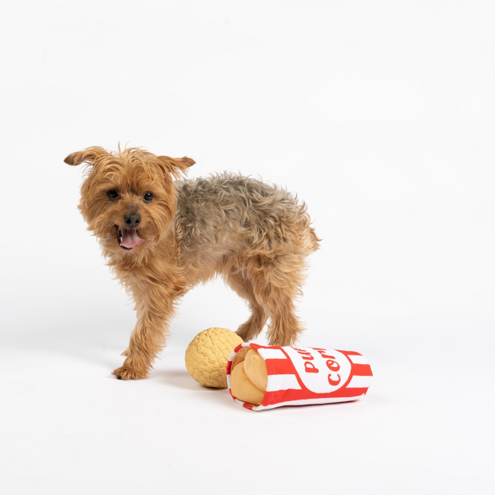 Pupcorn Dog Toy