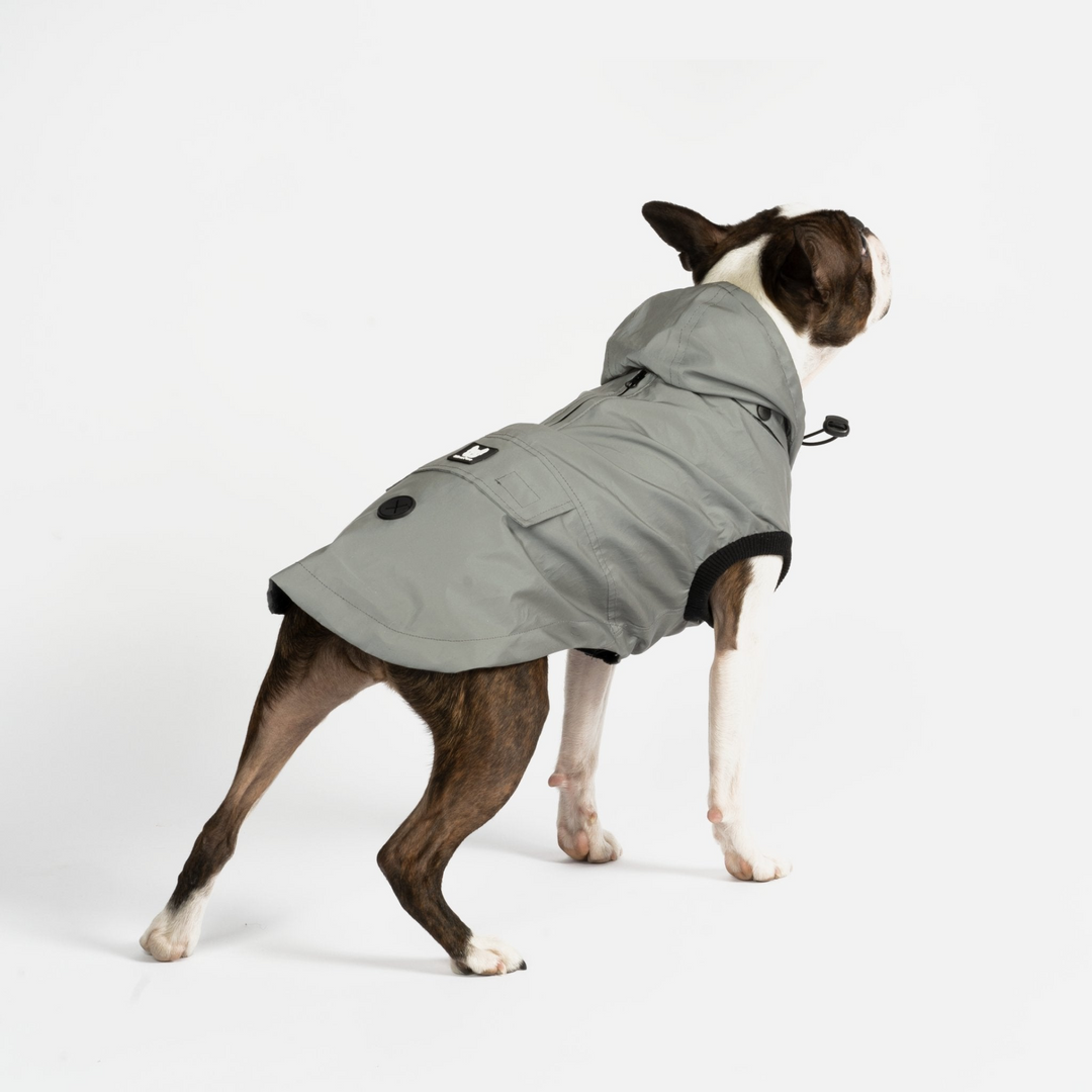 Max - Reflective Raincoat